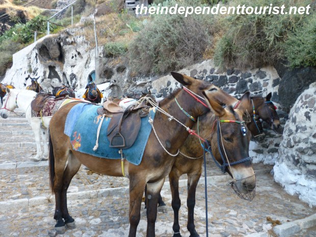 Views of Santorini_Greece (5)