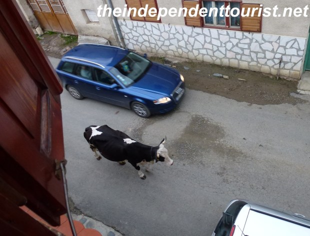 Guest House Rustic_Sibiu Romania (1)