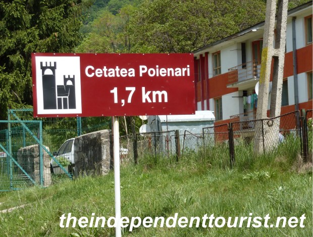 262Cetatea Poienari - Poienari Citadel