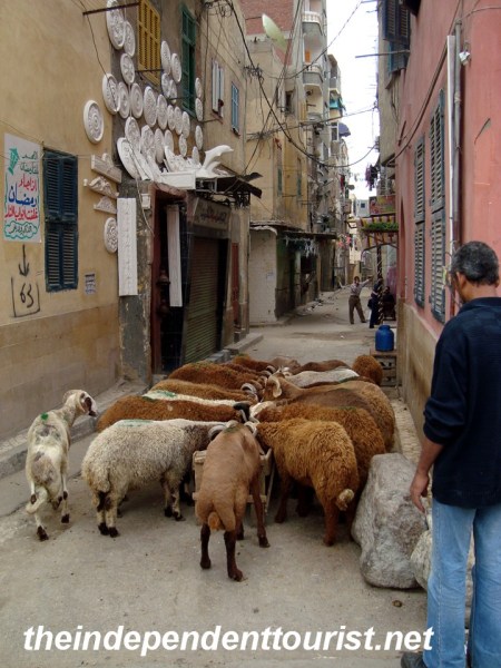 Street scene in Alexandria.