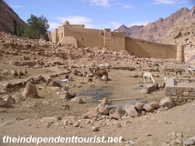 A view of the Monastery walls and some local camels.