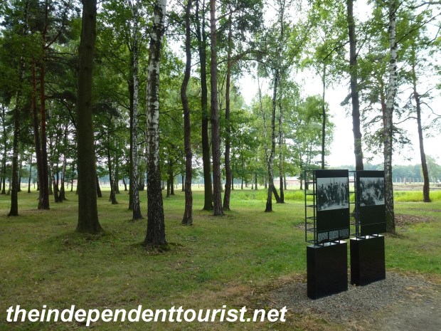 After walking the long road, the victims would wait in these peaceful woods for their turn in the gas chambers.