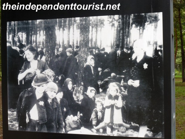 A photo of the victims waiting patiently in the woods for the end.