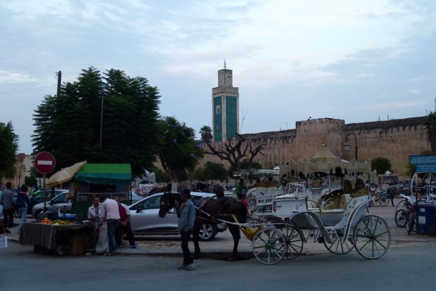The square near our hotel with carriages waiting for their next fare.