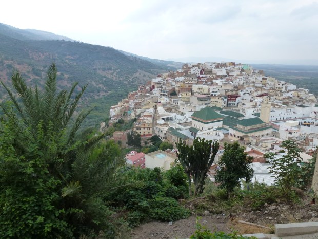 A view of Moulay Idriss. The large green roofs indicate the Mausoleum of Moulay Idriss.