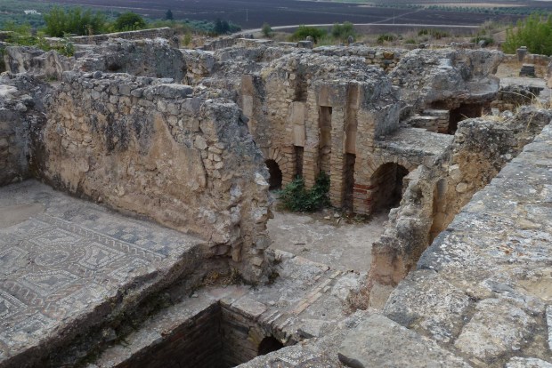 Another view of the ruins and mosaic floors at Volubilis. 