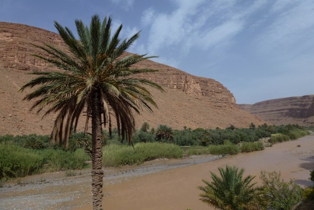 One of the many contrasts on the way to Merzouga - palmeries (oases) with the desert background.