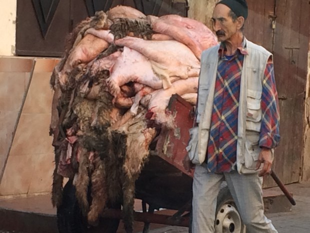 Loads of hides from the freshly slaughtered sheep.