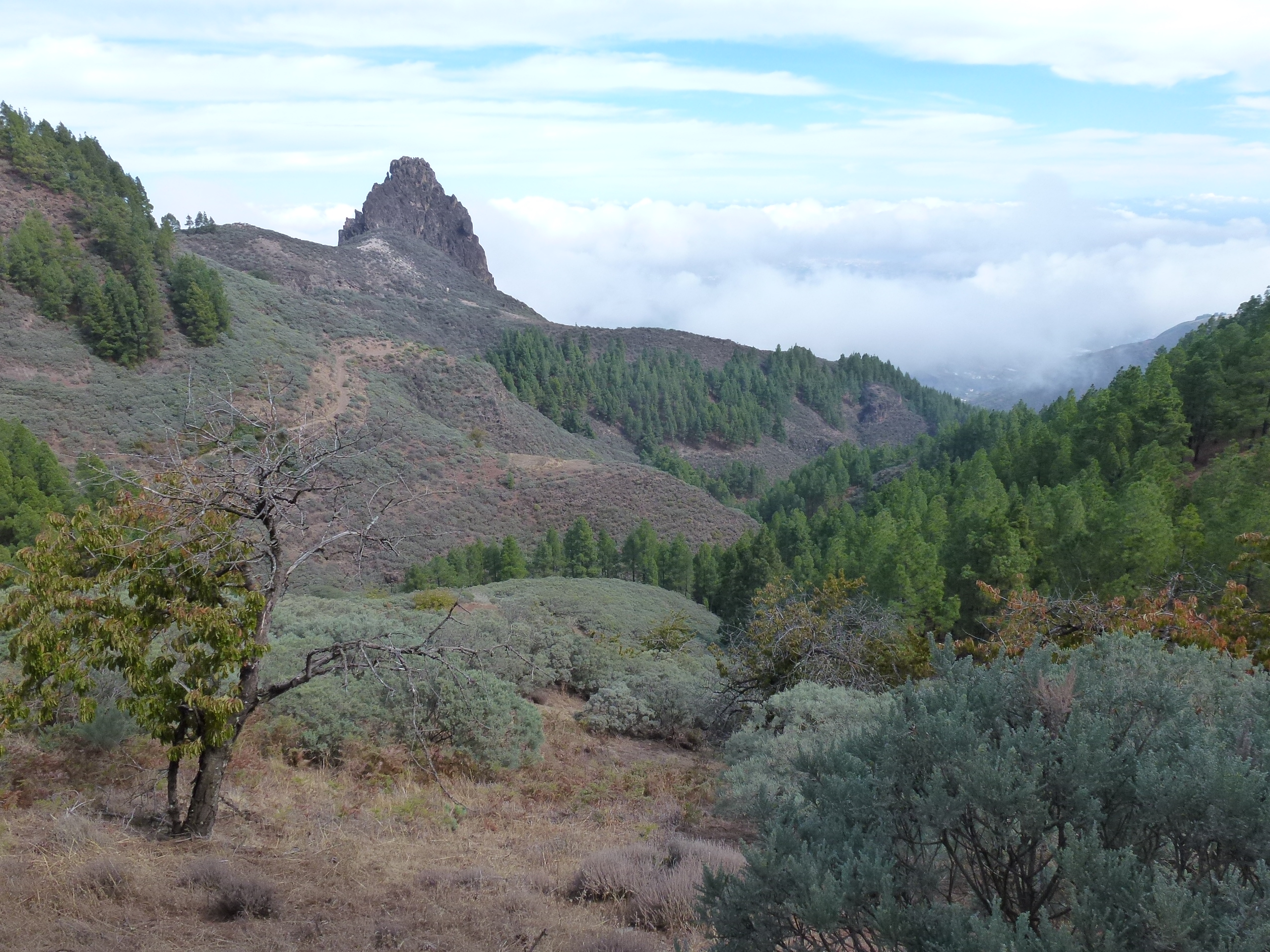 Gran Canary Scenery (5)