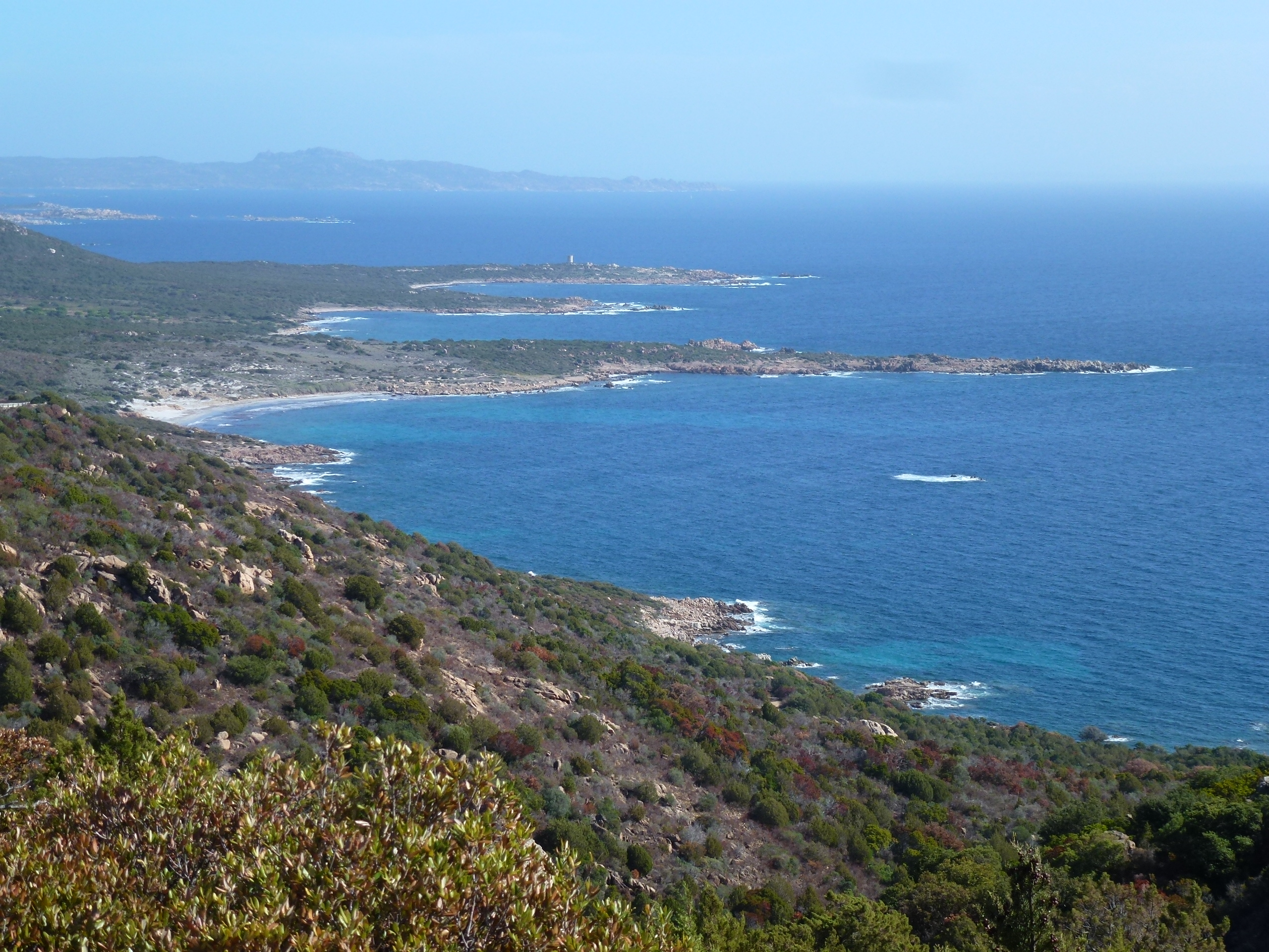 Corsica (11)