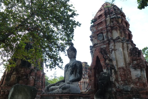 Ayutthaya Wat Maha That (9)