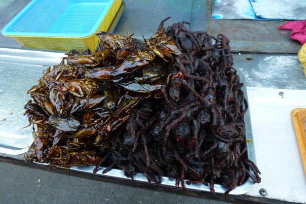 phnom-penh-cockroach-and-spider-dinner-1