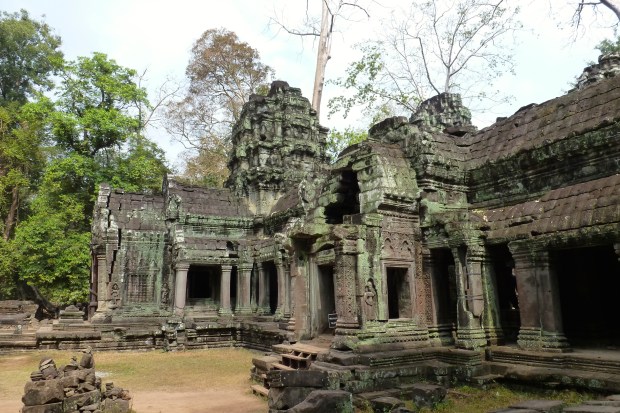 ta-prohm-12