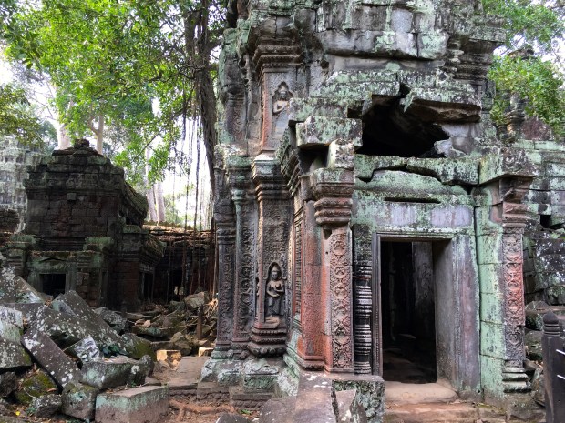 ta-prohm85
