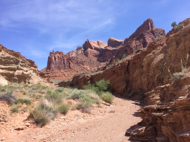 Upheaval Dome Canyonlands