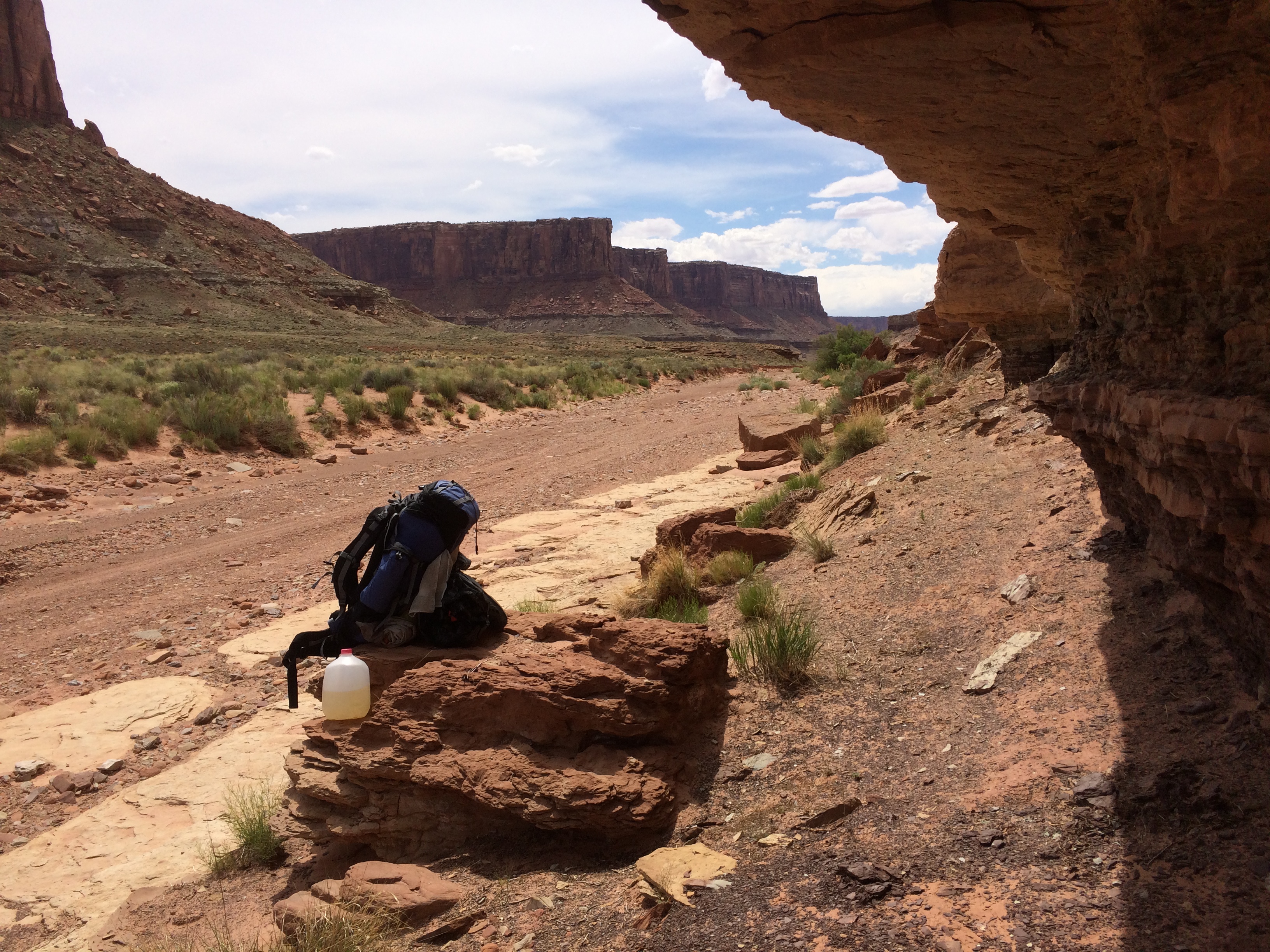 Taylor Canyon Canyonlands