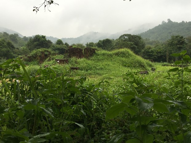 My Son Ruins, Hoi An, Vietnam