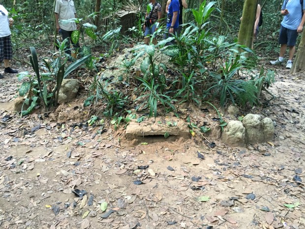 Cu Chi Tunnels air shaft.