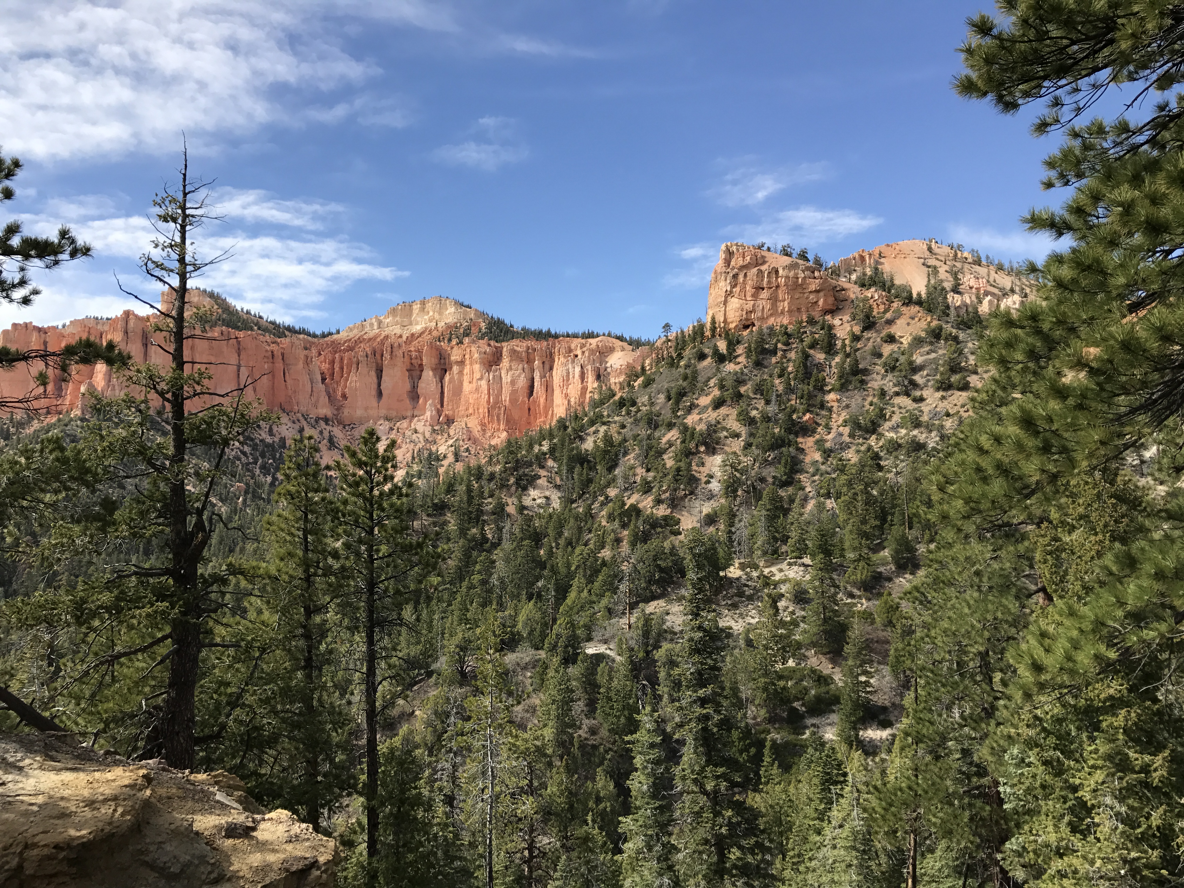 Riggs Spring Loop Bryce Canyon