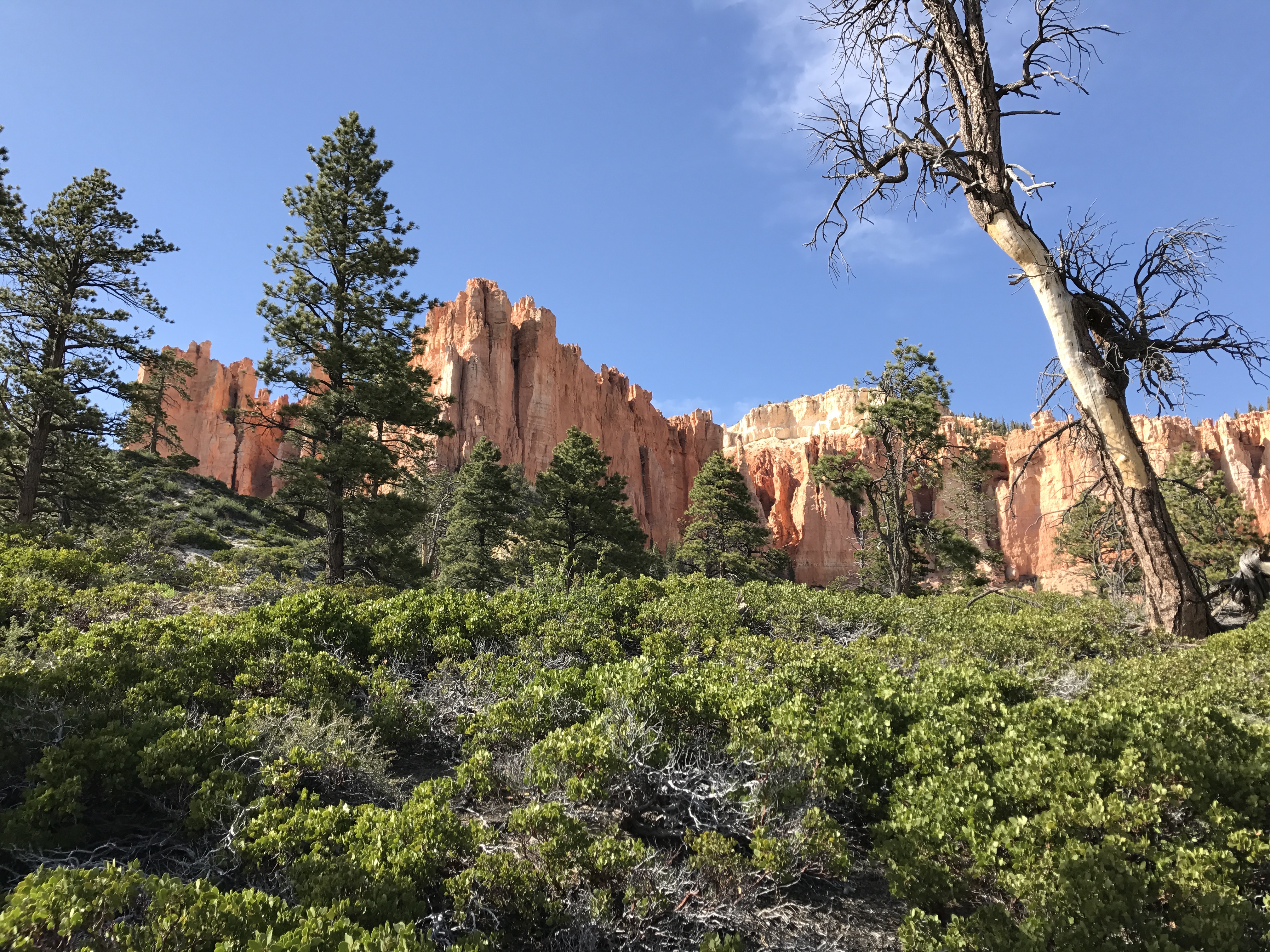 Riggs Spring Loop Bryce Canyon