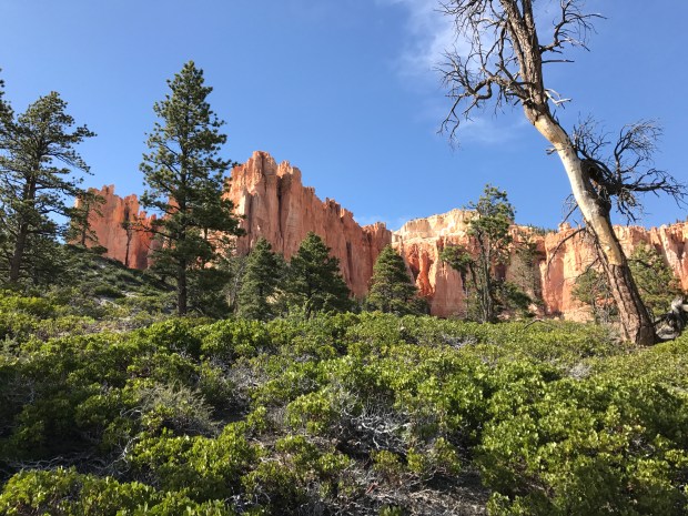 Riggs Spring Loop Bryce Canyon