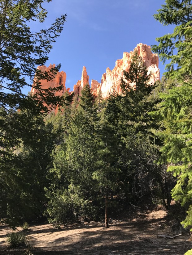 Corral Hollow Campsite Bryce Canyon