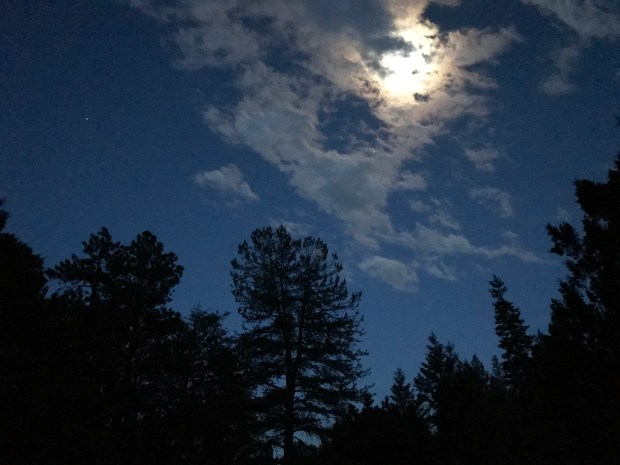 Riggs Spring Loop Bryce Canyon