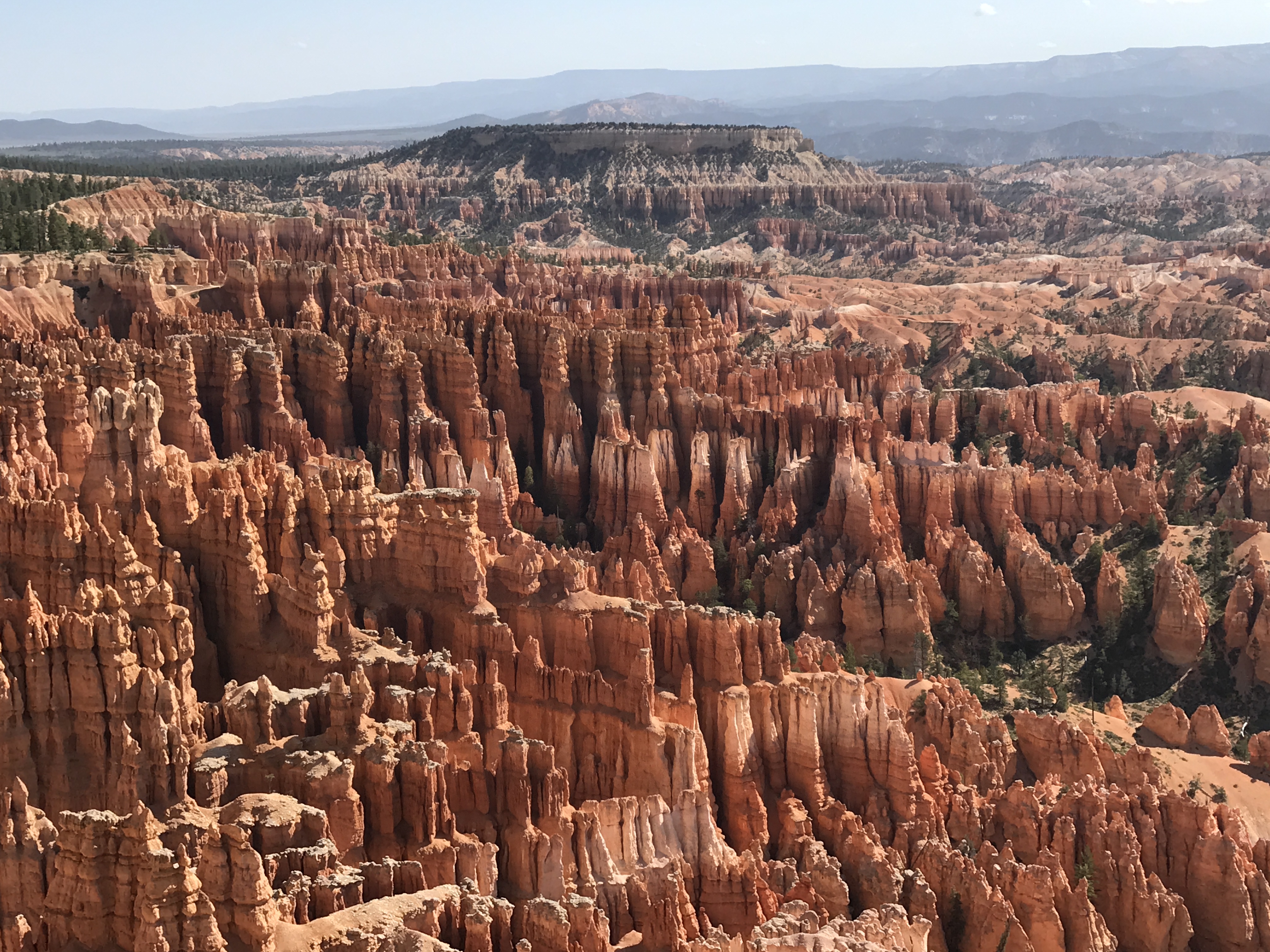 Hoodoos in Bryce Canyon