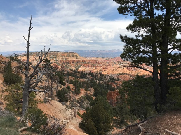 Bryce Canyon