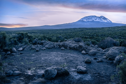 Mt. Kilimanjaro