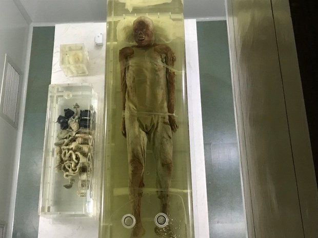 Jingzhou Museum, China.