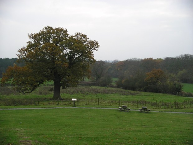 Bosworth Battlefield, England
