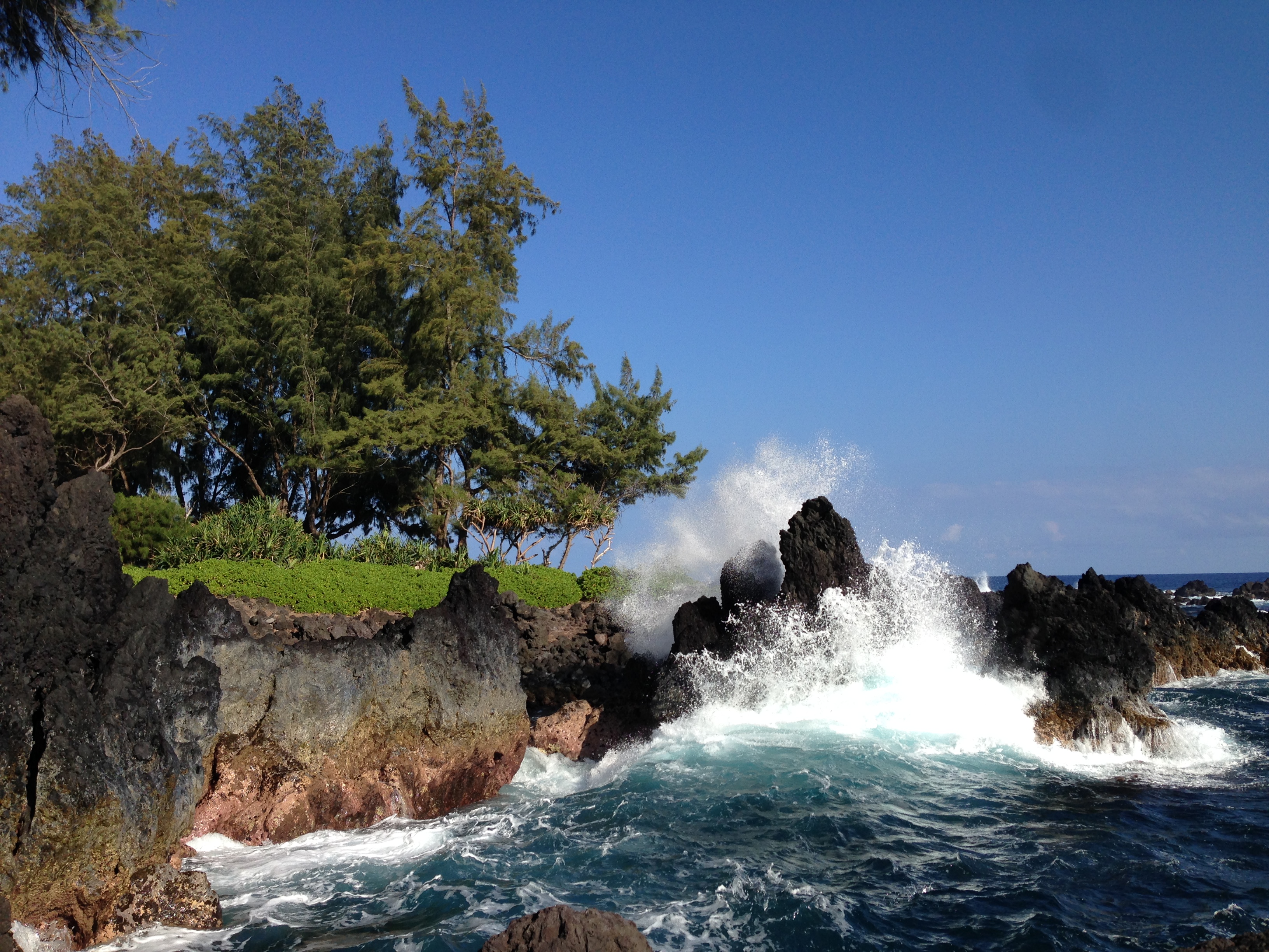 Laupahoehoe Point Beach Park, Hawaii
