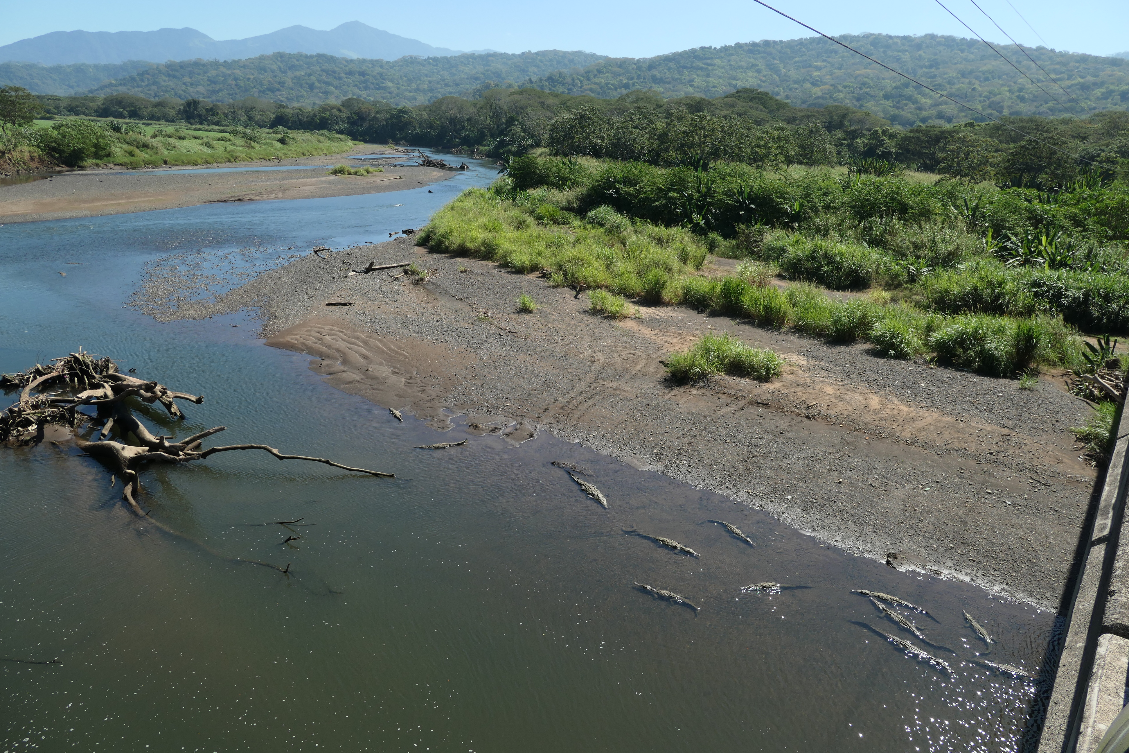 Tarcoles Bridge, Costa Rica