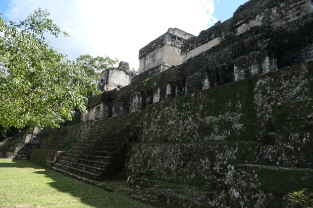 Acropolis Central, Gran Plaza, Tikal, Guatemala