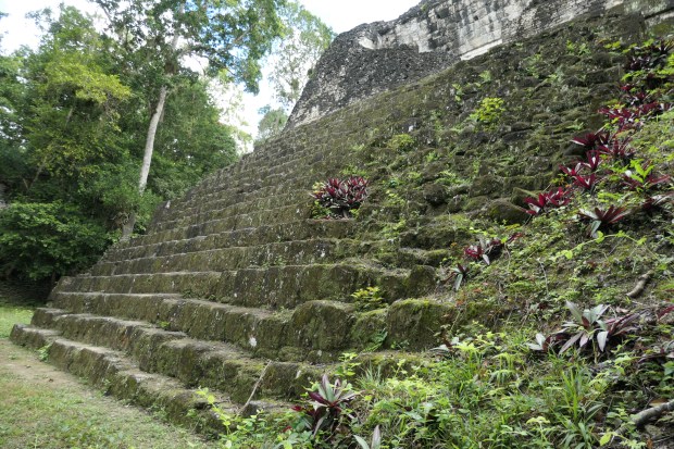 North Zone, Complex "P", Tikal, Guatemala