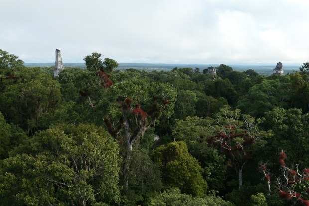 Tikal, Guatemala