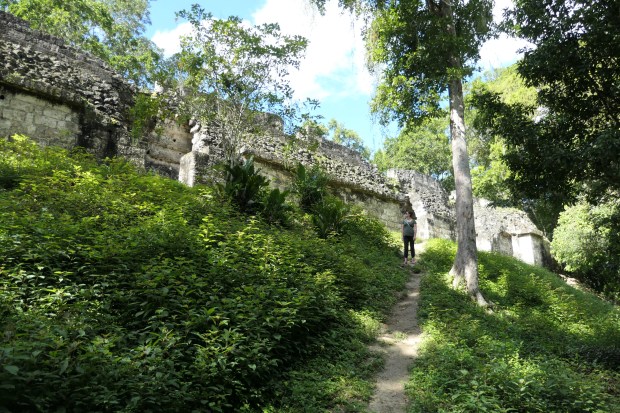 Palacio de las Ventanas, Tikal, Guatemala