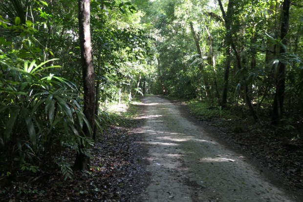 Guatemala Tikal Ruins Park 3