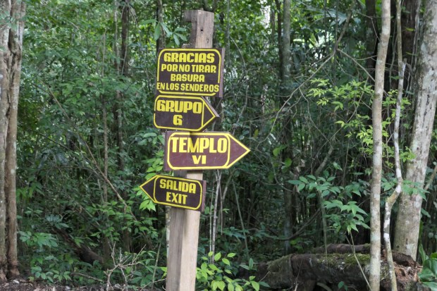 Guatemala Tikal Ruins Park 5
