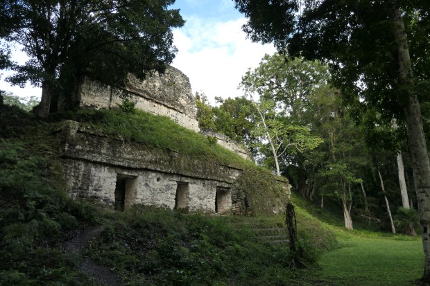 Plaza de lost Siete Templos, Tikal, Guatemala