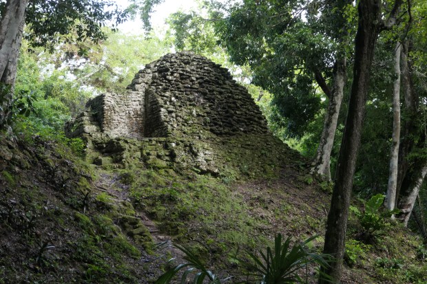 Plaza de los Siete Templos, Tikal, Guatemala