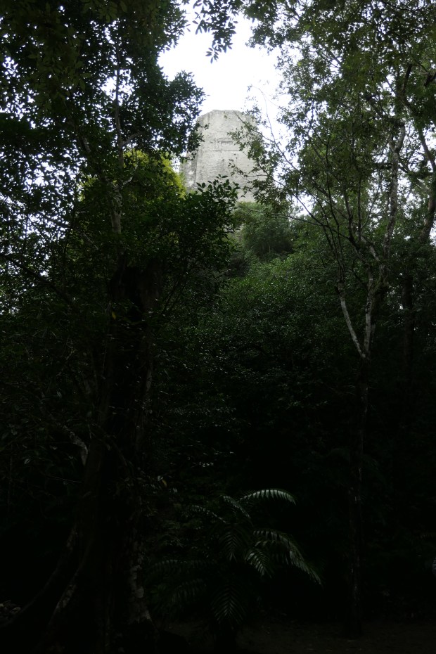 Temple III, Tikal, Guatemala