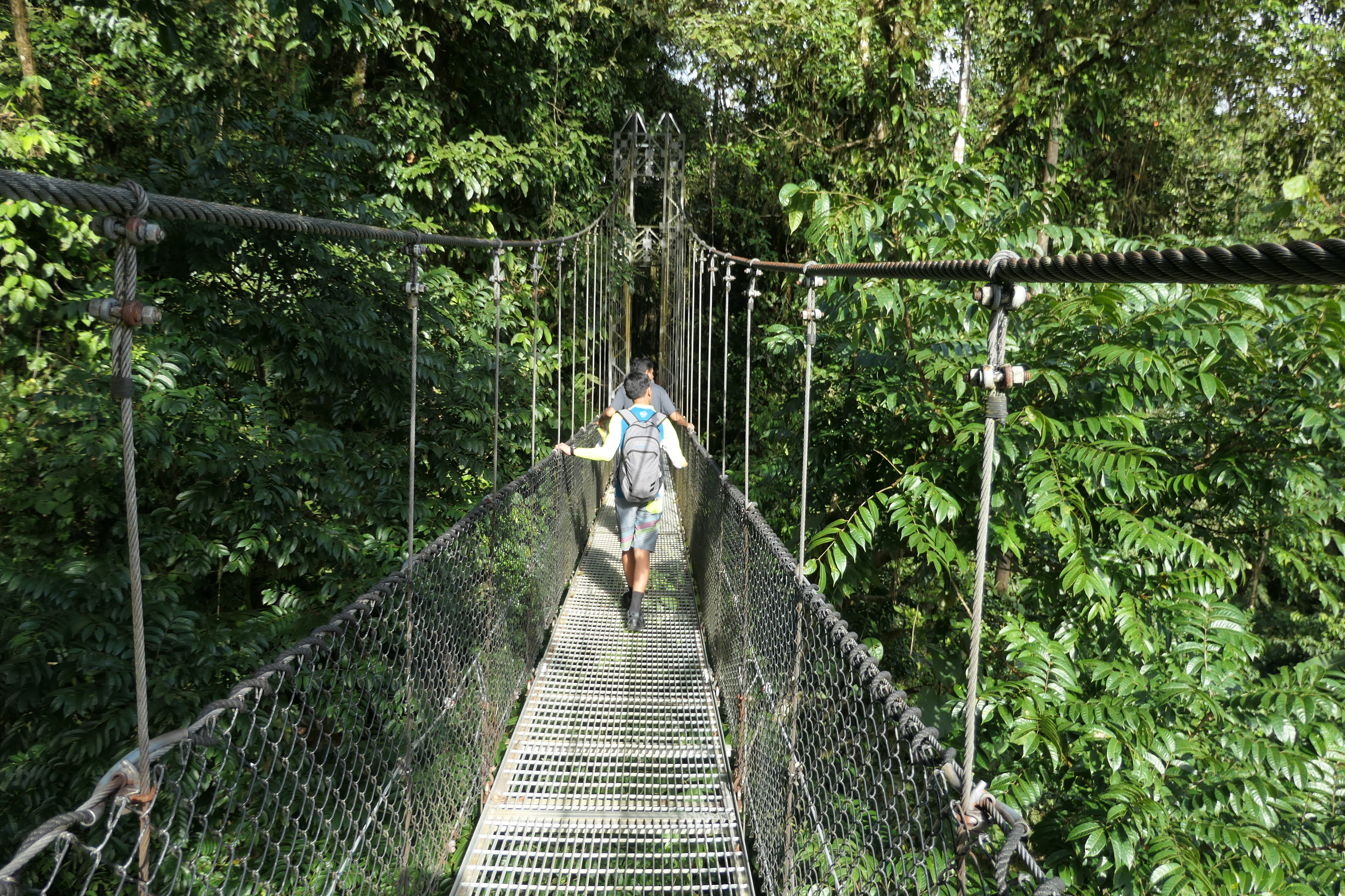 Hanging Bridges, La Fortuna, Costa Rica