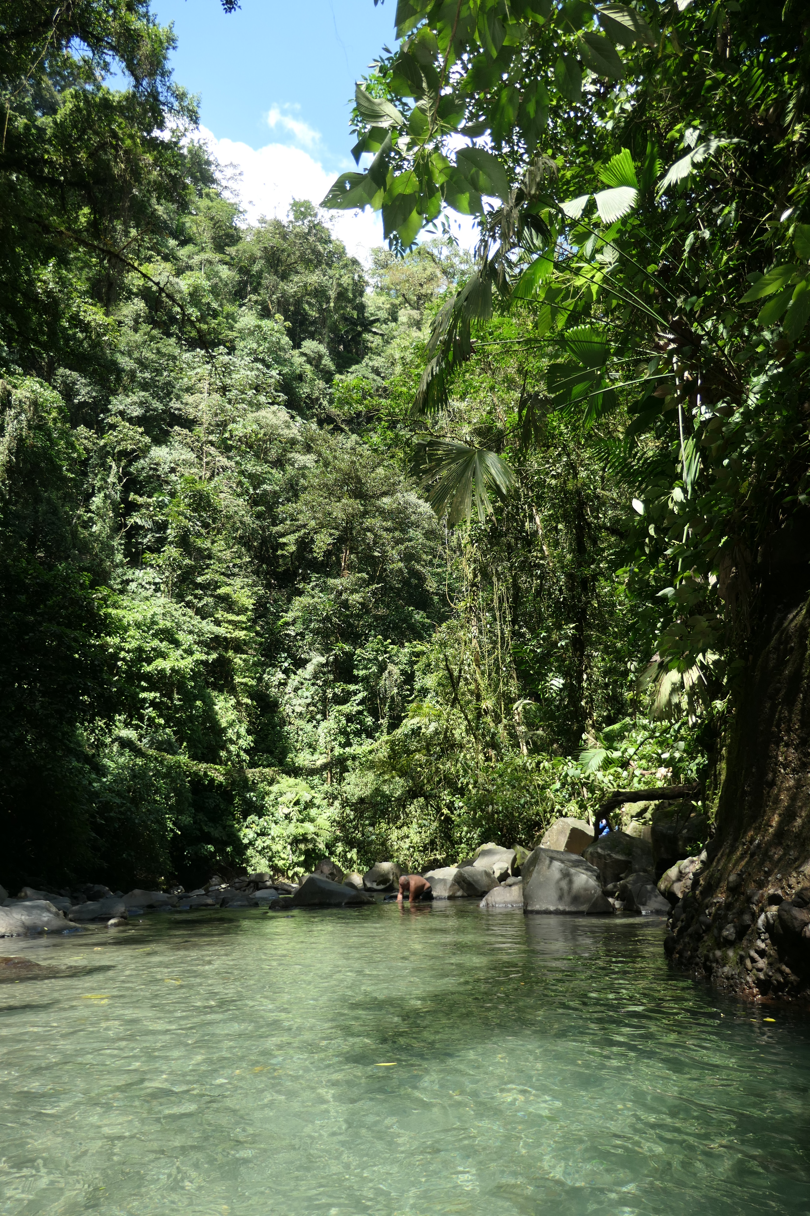 La Fortuna Falls,